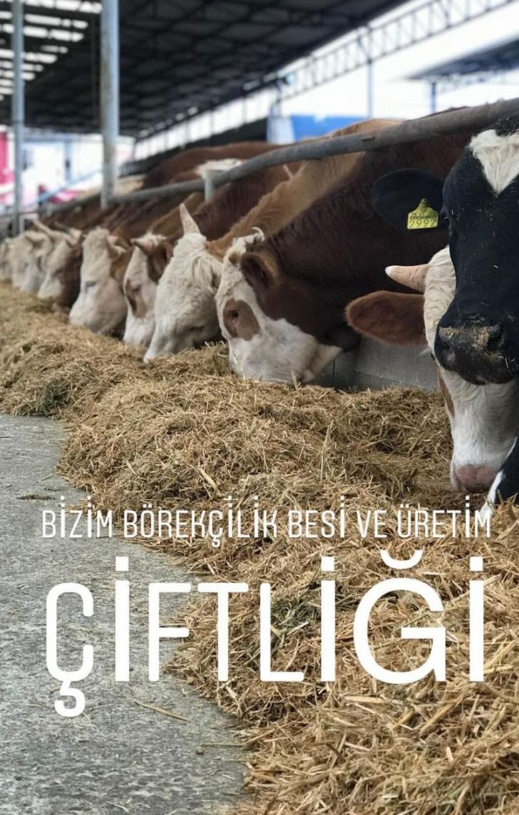 Çiftlik 3